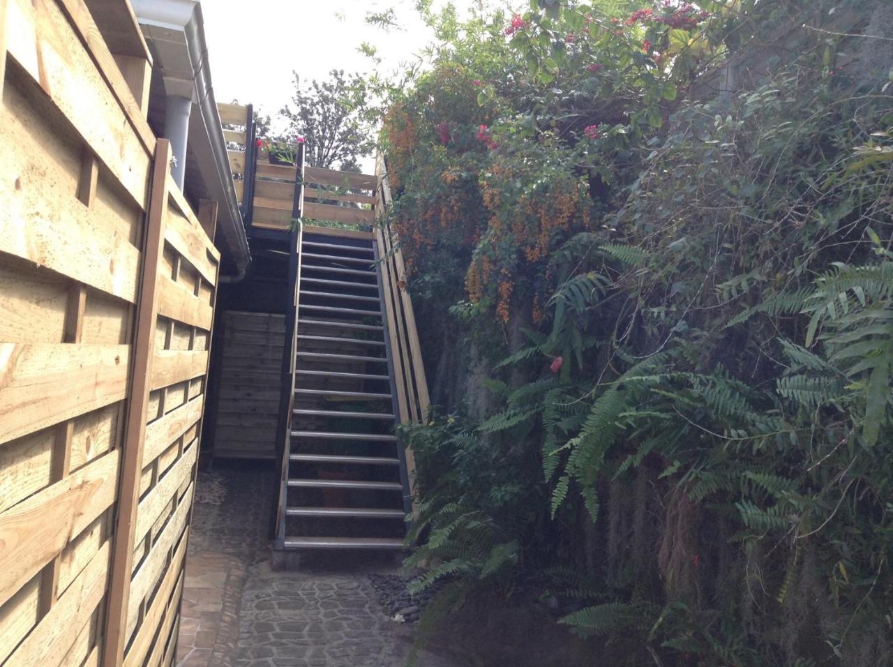 Apartamento Le Bégonia Ravine Seche Exterior foto